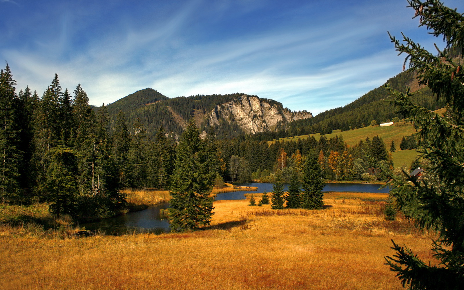开云体育app入口-中国篮球职业联赛财务运营风险防控研究，篮球协会账务处理