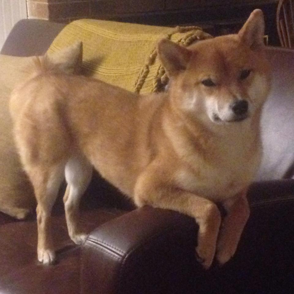 开云体育官网登入-未来足球：全场摄像头与AI结合，实现全面赛事数据采集，足球未来赛事app