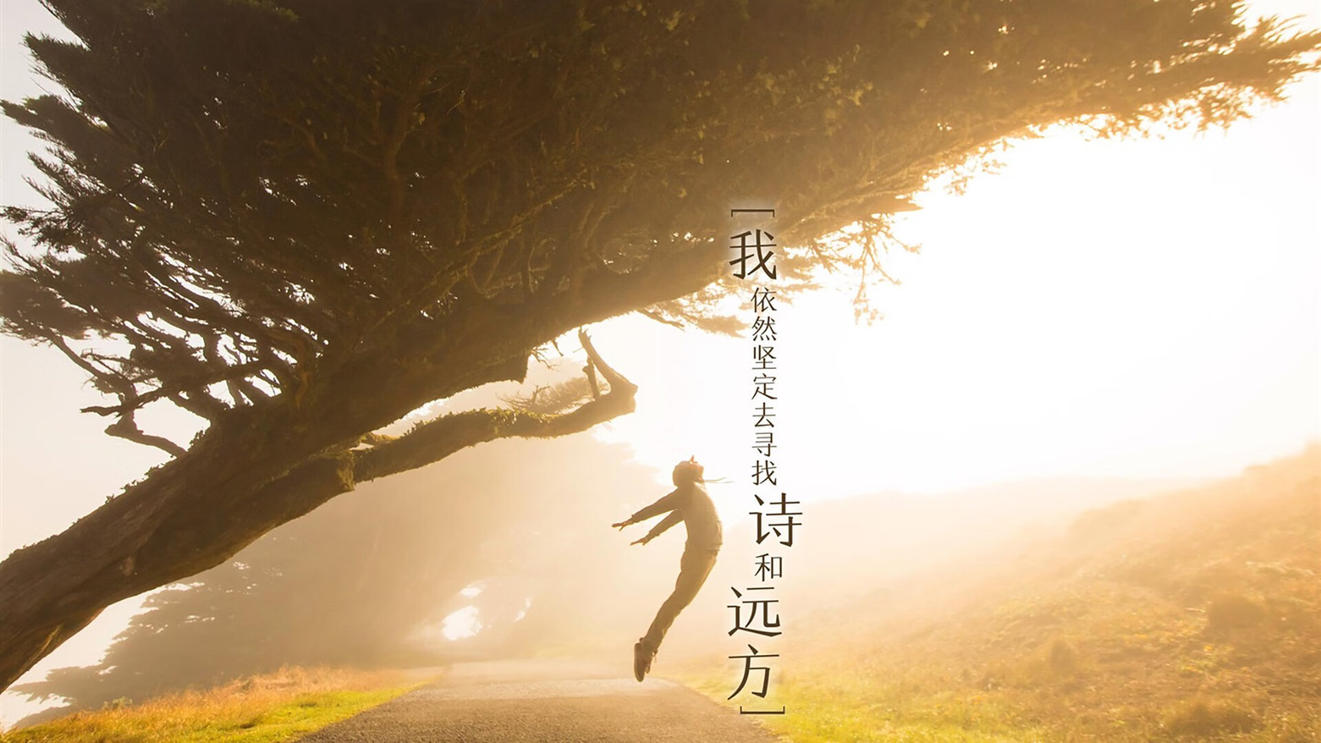 开云在线入口-欧洲杯精彩激战：突破、阵地战、防守反击俱佳，欧洲杯揭幕战依98db in