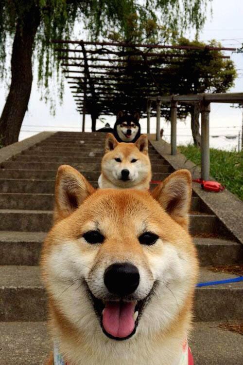 线上虚拟足球比赛吸引全球数百万玩家,电竞结合持续升温,虚拟足球怎么玩法介绍