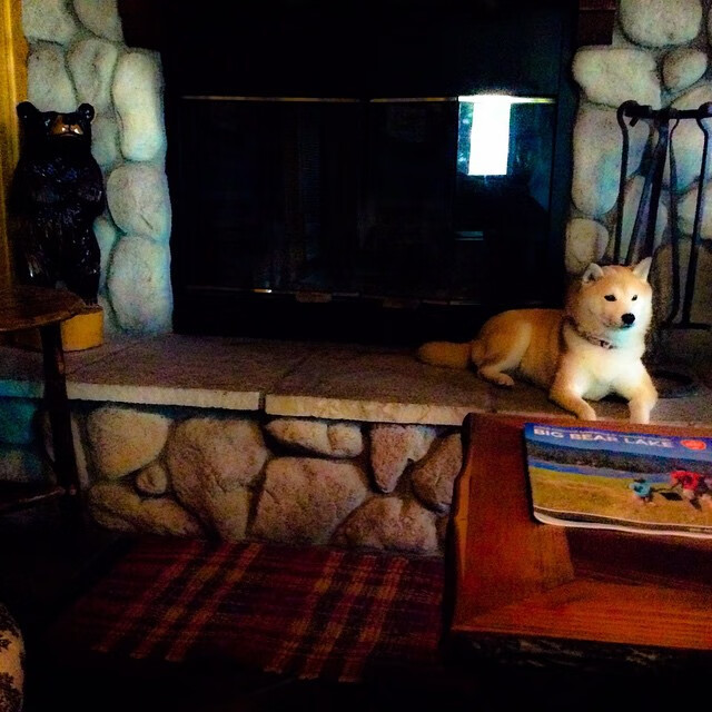 16年梦圆！索博童年偶像成对手，索伯2012