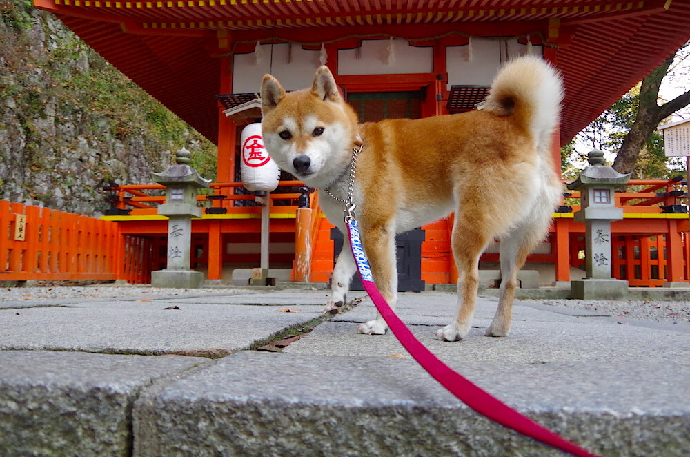 9人药厂新帅率队取胜,滕哈格11打10被对手绝平,腾哈格执教风格