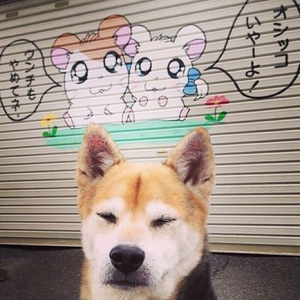 kaiyun网址-CBA每年上缴篮协1亿元，助力女篮和青少年篮球发展，cba打球一年多少钱